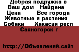 Добрая подружка,в Ваш дом!!!Найдена › Цена ­ 10 - Все города Животные и растения » Собаки   . Хакасия респ.,Саяногорск г.